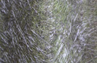 Nether Stowey fibreglass roof work