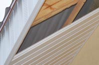 rated Nether Stowey soffit repair companies